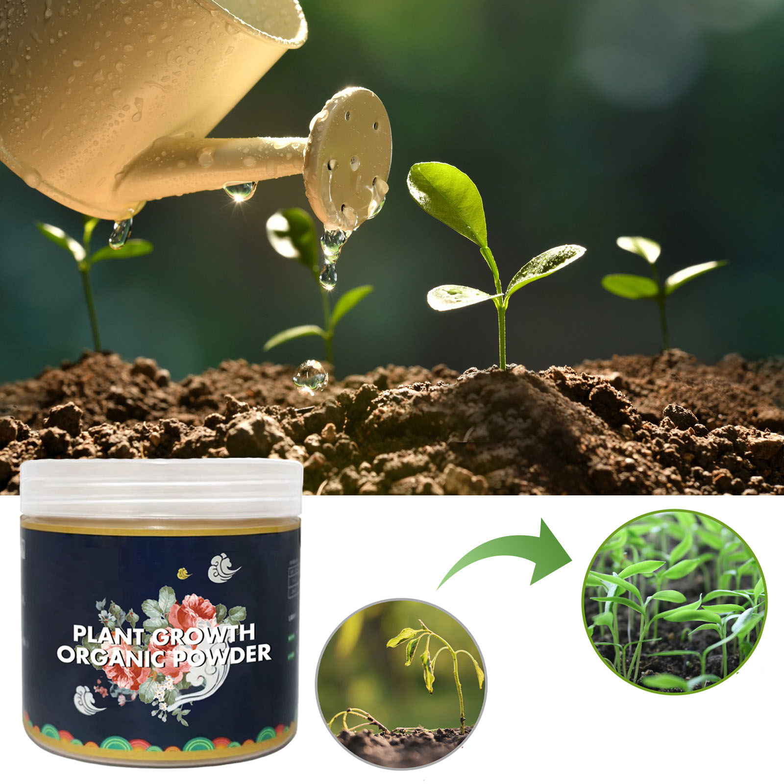 Rooting Hormone Powder - 빠른 뿌리 뽑기 분말 식물 토양