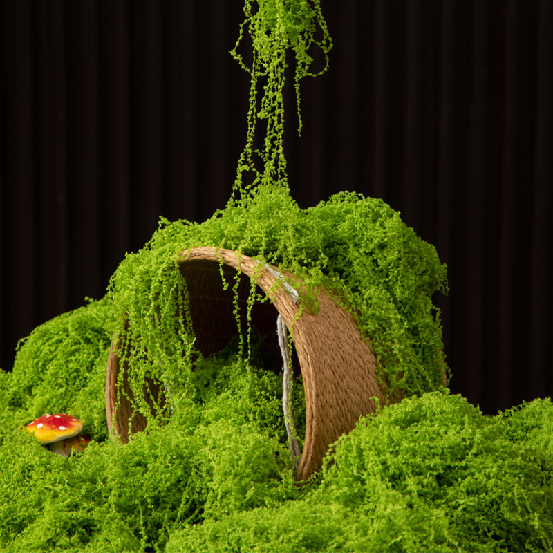 Sphagnum Moss Dry - 200g 영원한 생명 이끼 DIY 공예
