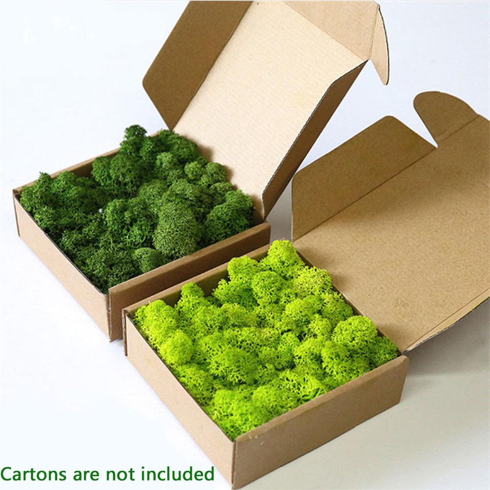 Sphagnum Moss Dry - 인공 식물 영원한 생명 이끼 정원