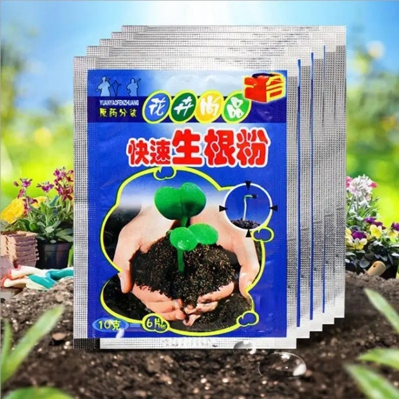 Rooting Hormone Powder - 5개입 빠른 발근 분말 식물 급속
