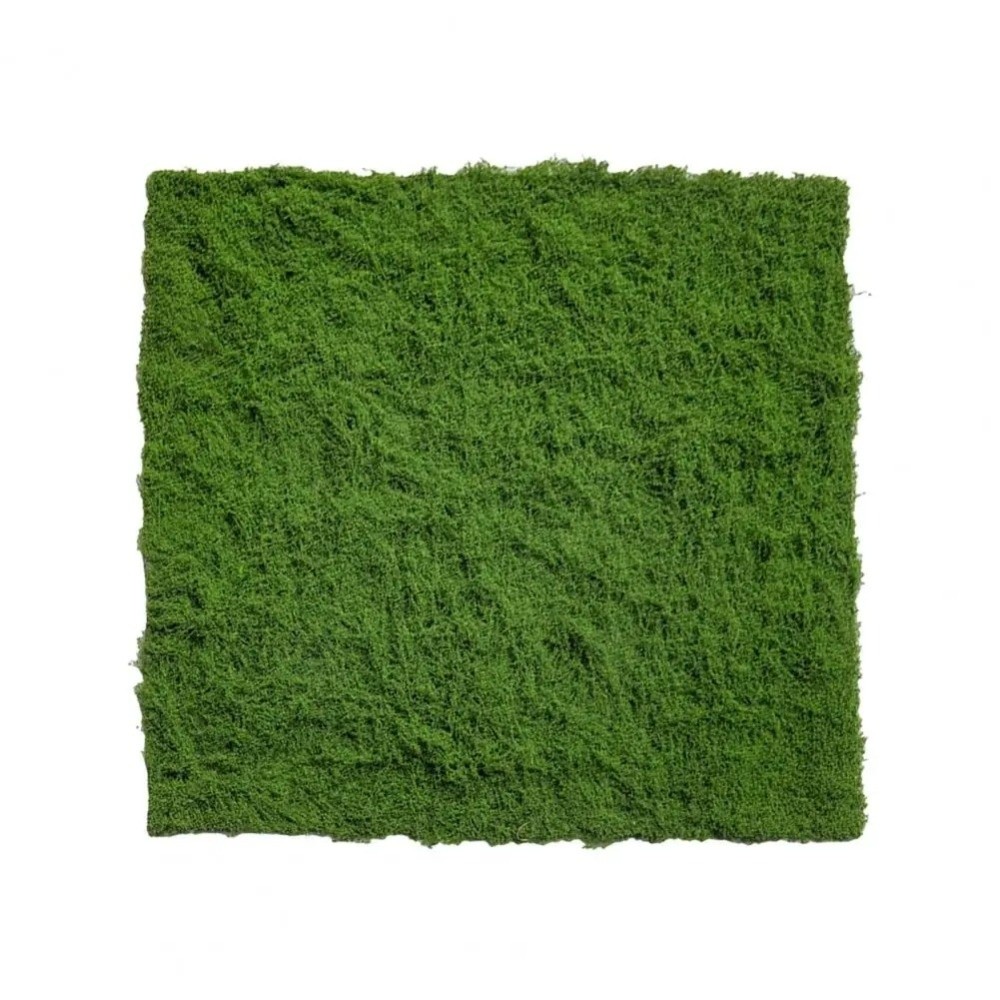 DIY 인조 잔디 러그 내구성 무수경 가짜 이끼 잔디  - Sphagnum Moss Dry 리뷰 및 가격