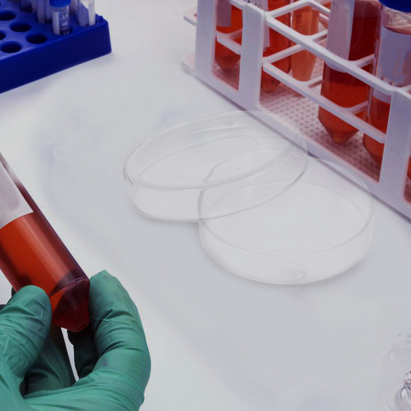 고붕규산 유리 페트리 접시, 조직 배양 접시, 실험실  - Agar Tissue Culture 리뷰 및 가격