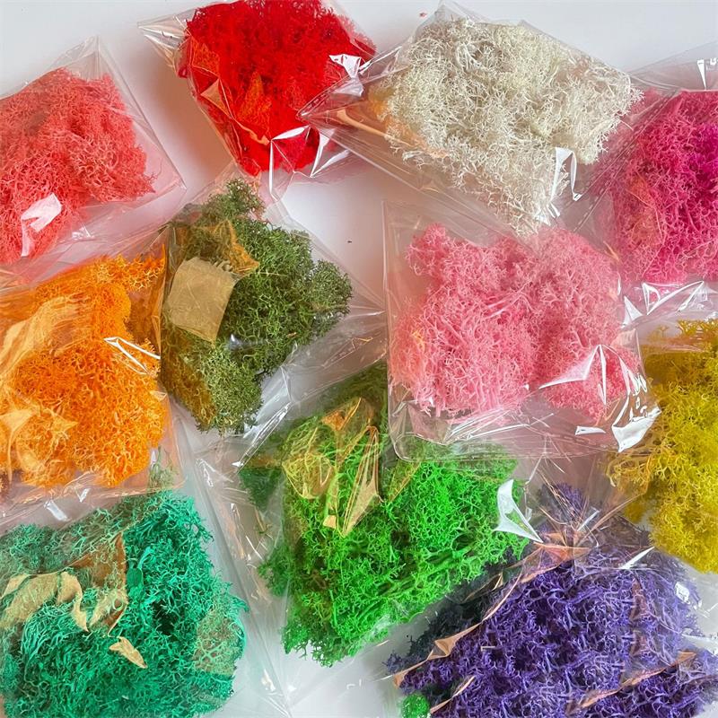 20-200g 인공 녹색 식물 폴리 에스터 이끼 잔디  - Sphagnum Moss Dry 리뷰 및 가격