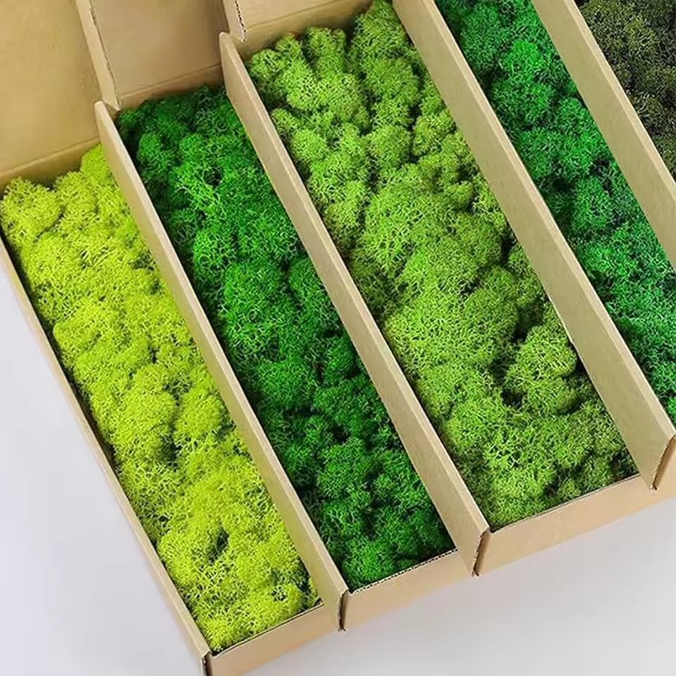 20-200g 인공 녹색 식물 폴리 에스터 이끼 잔디  - Sphagnum Moss Dry 리뷰 및 가격