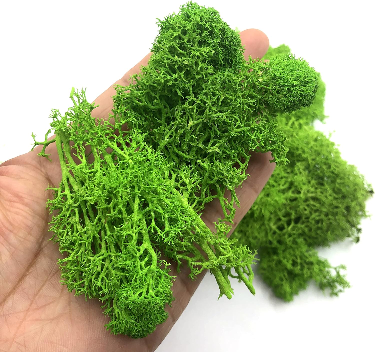 200g 인공 녹색 식물 미니 풍경 영원한 생명 이끼  - Sphagnum Moss Dry 리뷰 및 가격