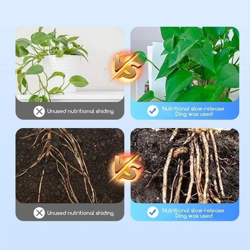발근 호르몬 분말 범용 묘목 부스터 비료 꽃, 식물 2 - Rooting Hormone Powder 리뷰 및 가격